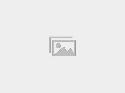 Food Handler (Español)